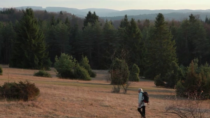 Video Platzhalter